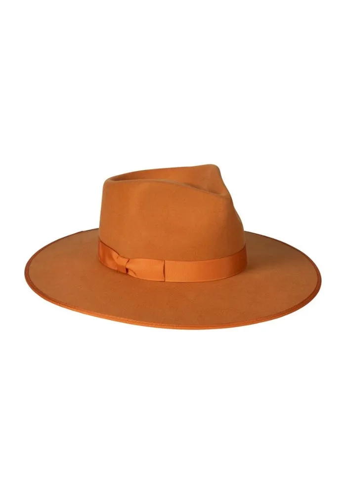 Desert Sun Rancher