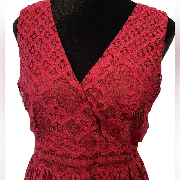 NEW Black Swan Lulus Brandi Wine Red Lace Surplice Skater Dress