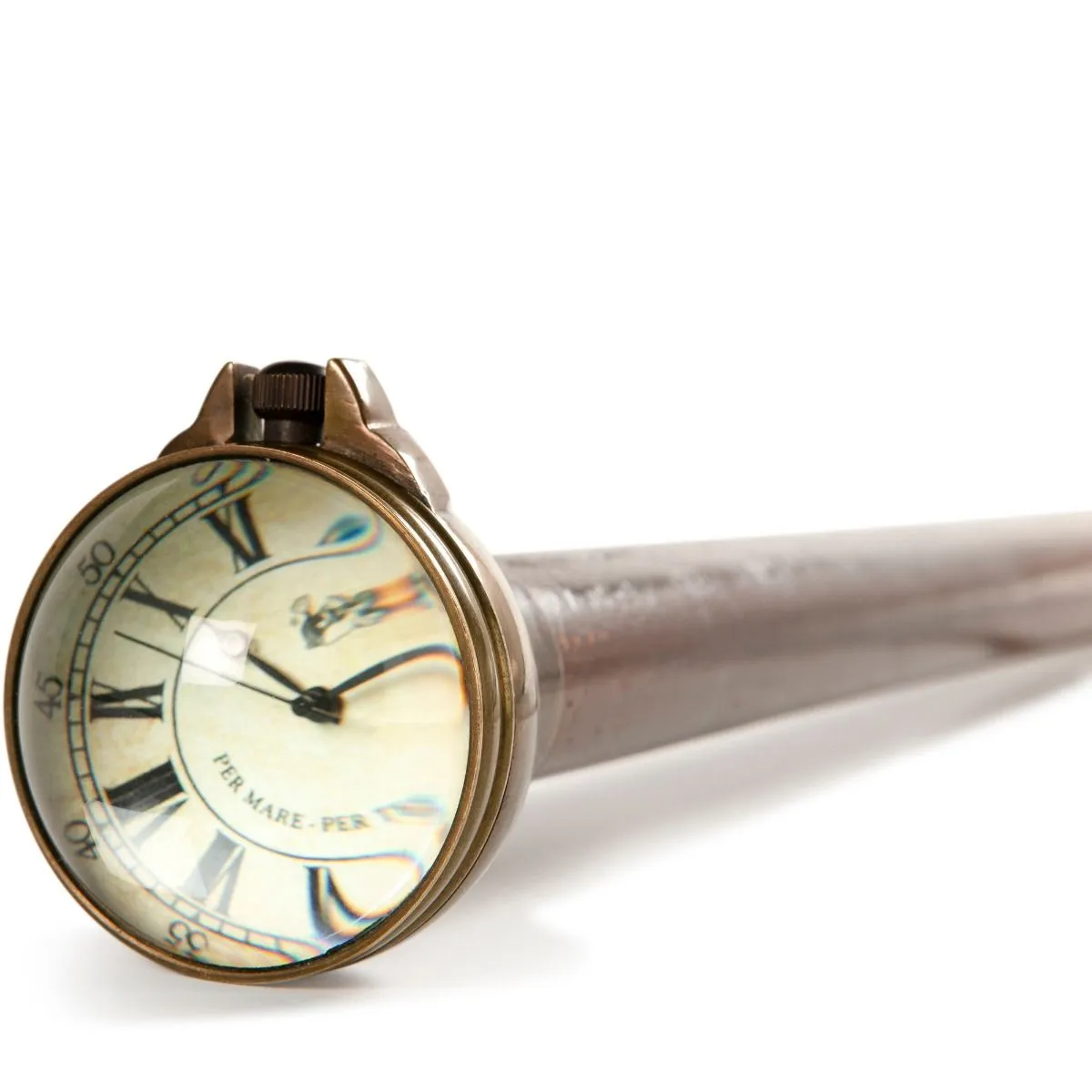 Time Companion Walking Stick