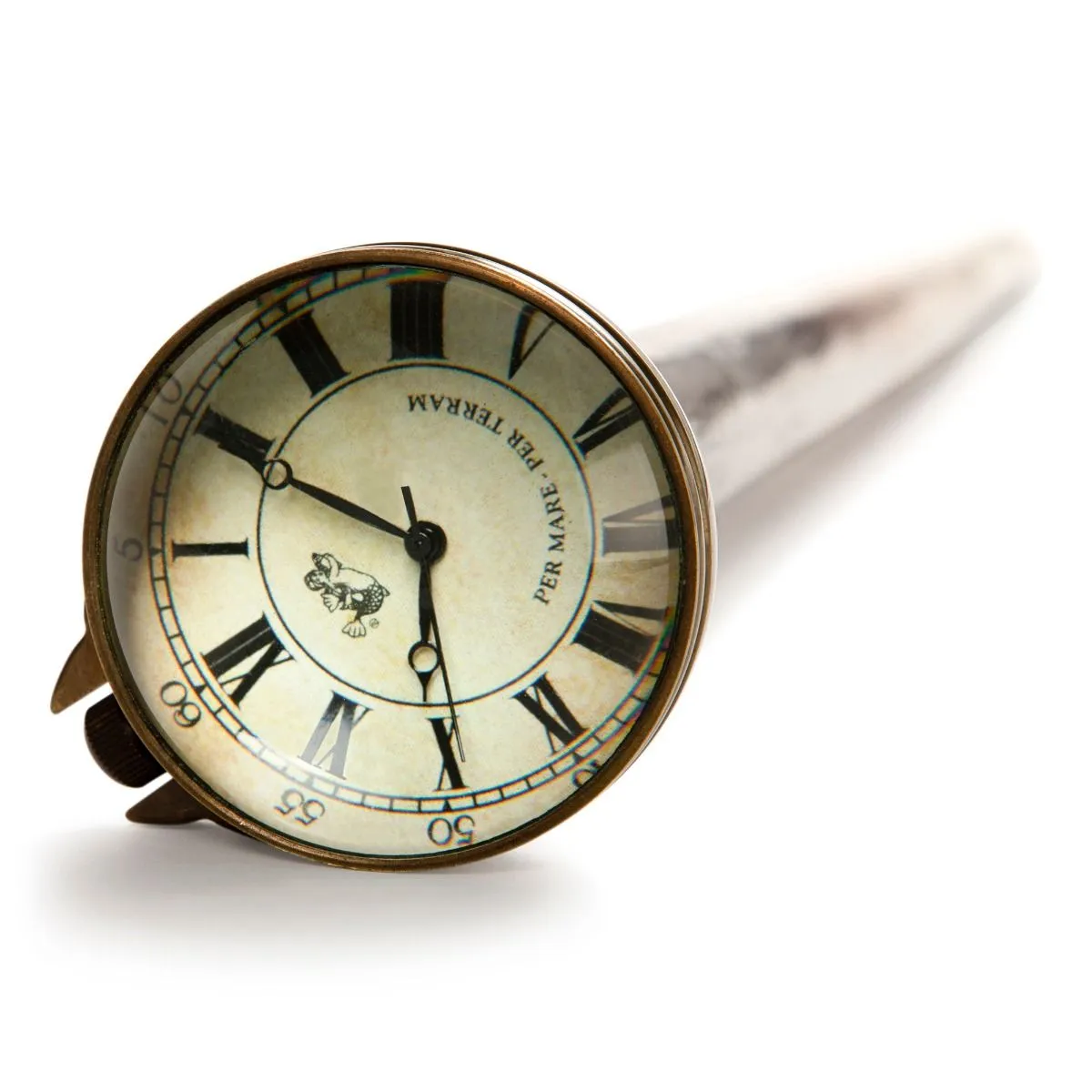 Time Companion Walking Stick